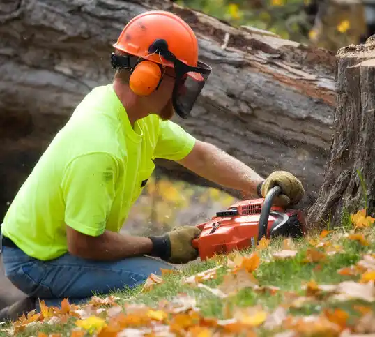 tree services Roosevelt